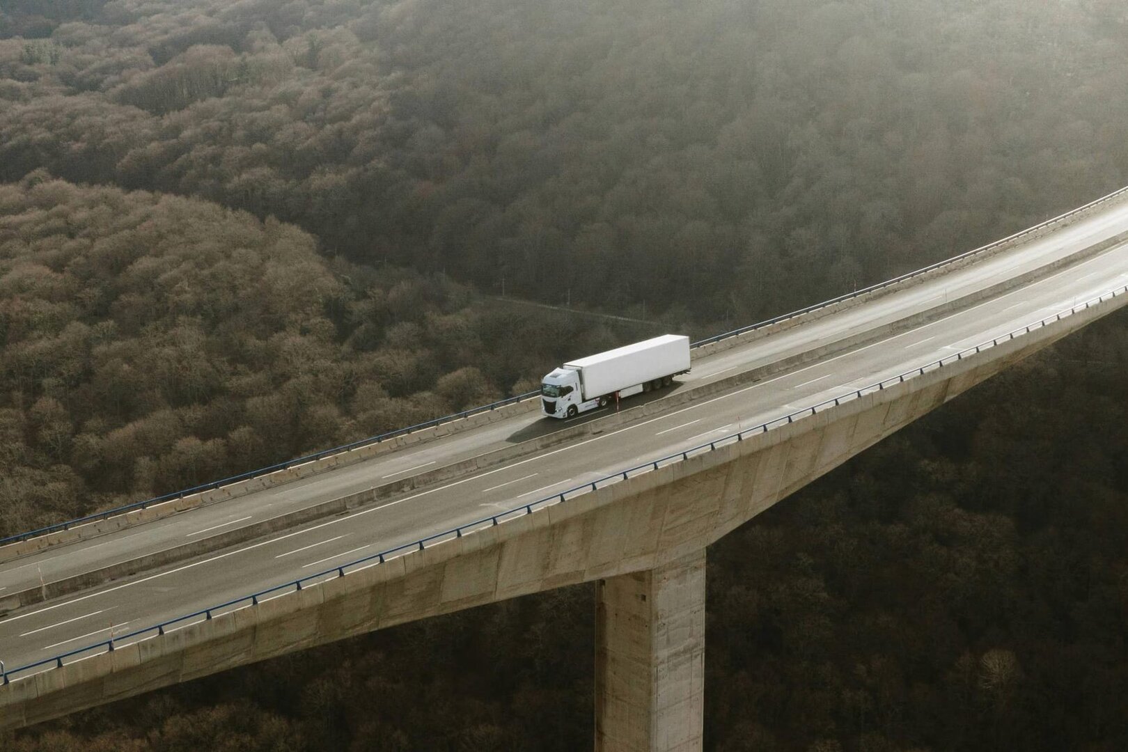 Camion da carico su un cavalcavia sopra la foresta